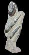 Fossil Goniatite & Orthoceras Sculpture - #62372-3